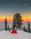 Red Tent on Snow Covered Ground Near Green Trees