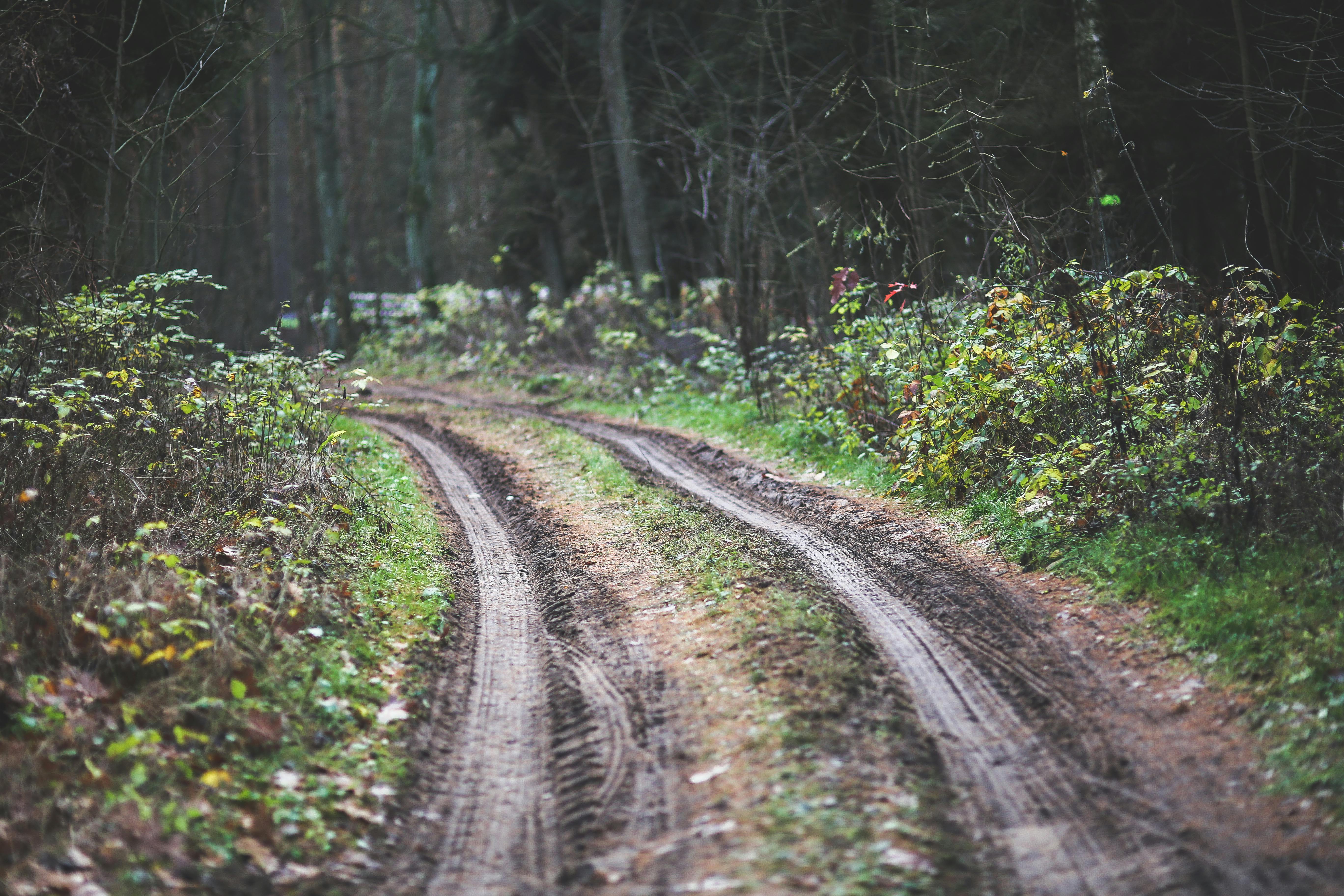 Blue Car on Dirt Road Between Green Leaf Trees . Free Stock Photo5472 x 3648