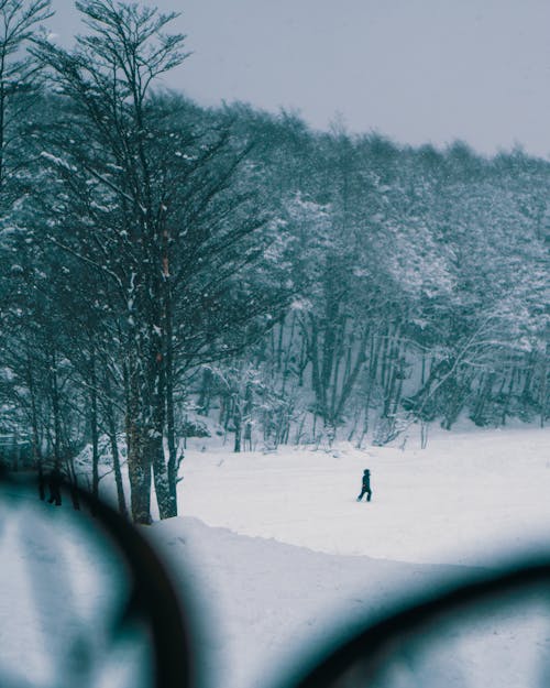 Pessoa Caminhando Em Solo Coberto De Neve