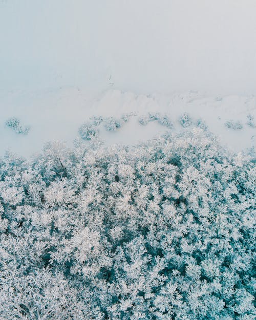 Weißer Schnee Auf Weißem Sand