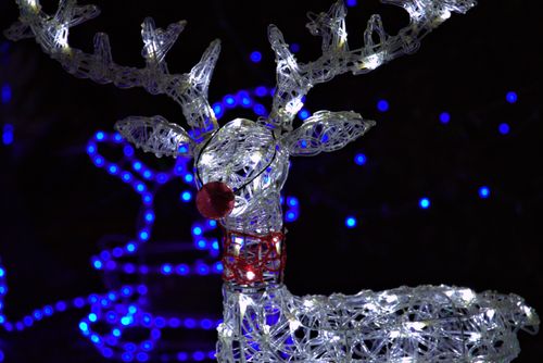 Free Bright illuminated reindeer decoration with festive lights creates a magical Christmas atmosphere. Stock Photo