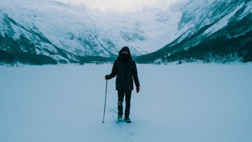 Gratis Wanita Dengan Jaket Hitam Dan Celana Hitam Berdiri Di Atas Tanah Yang Tertutup Salju Foto Stok