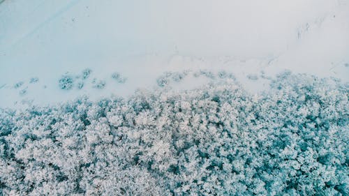 Neve Bianca Su Sfondo Bianco