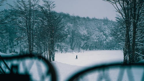 在积雪覆盖的田野上行走的人