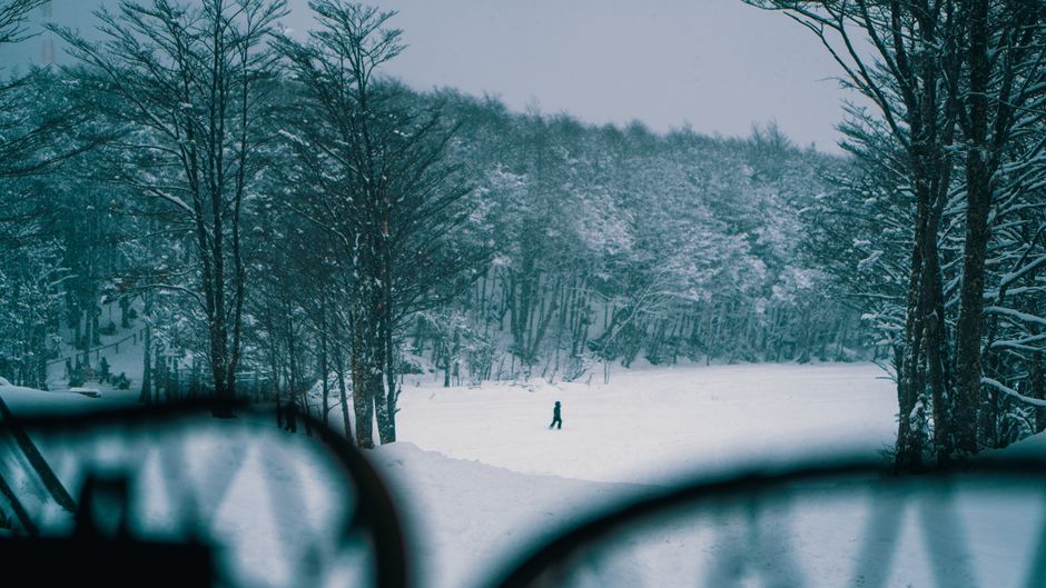 A lone figure walks through a snow-covered forest, encapsulating the essence of winter solitude.