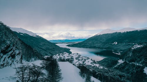 Immagine gratuita di alberi, azzurro, calma