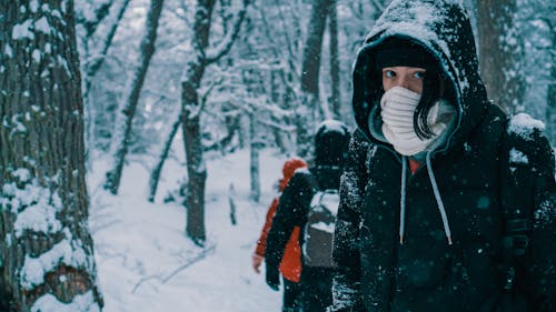 Бесплатное стоковое фото с авантюристы, зима, зимняя одежда