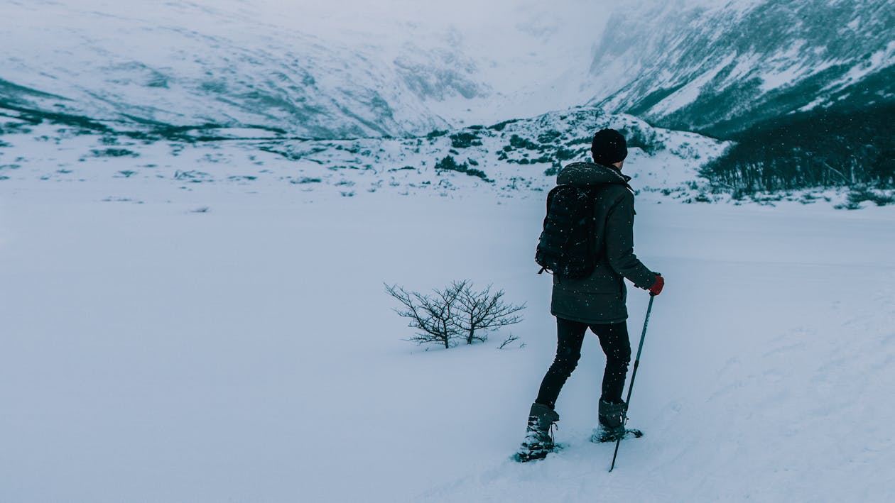 Back View Of Person Walking On Snow Covered Ground