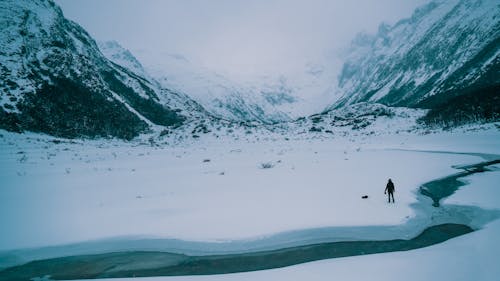 Persoon Lopen Op Met Sneeuw Bedekt Veld