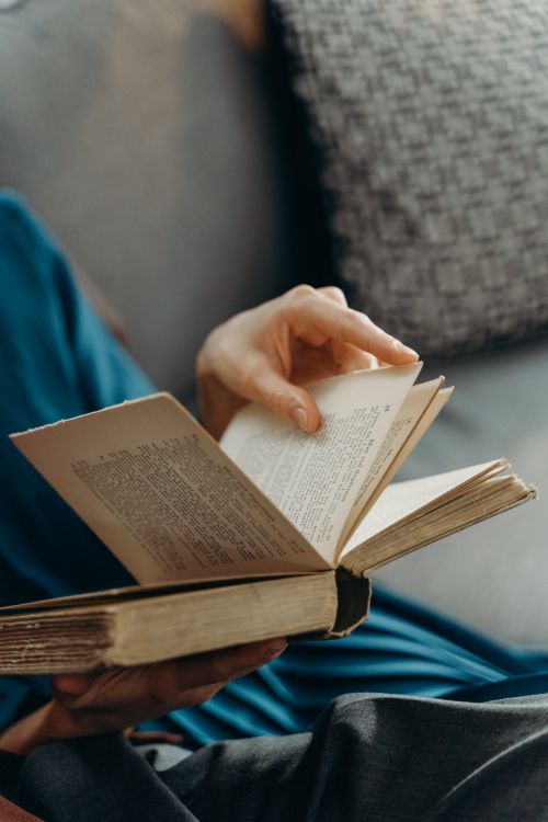 Free A woman in a casual dress reads a book while lounging on a cozy sofa, creating a serene and relaxed atmosphere. Stock Photo