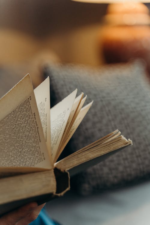 Close-Up Photography of a Book Pages