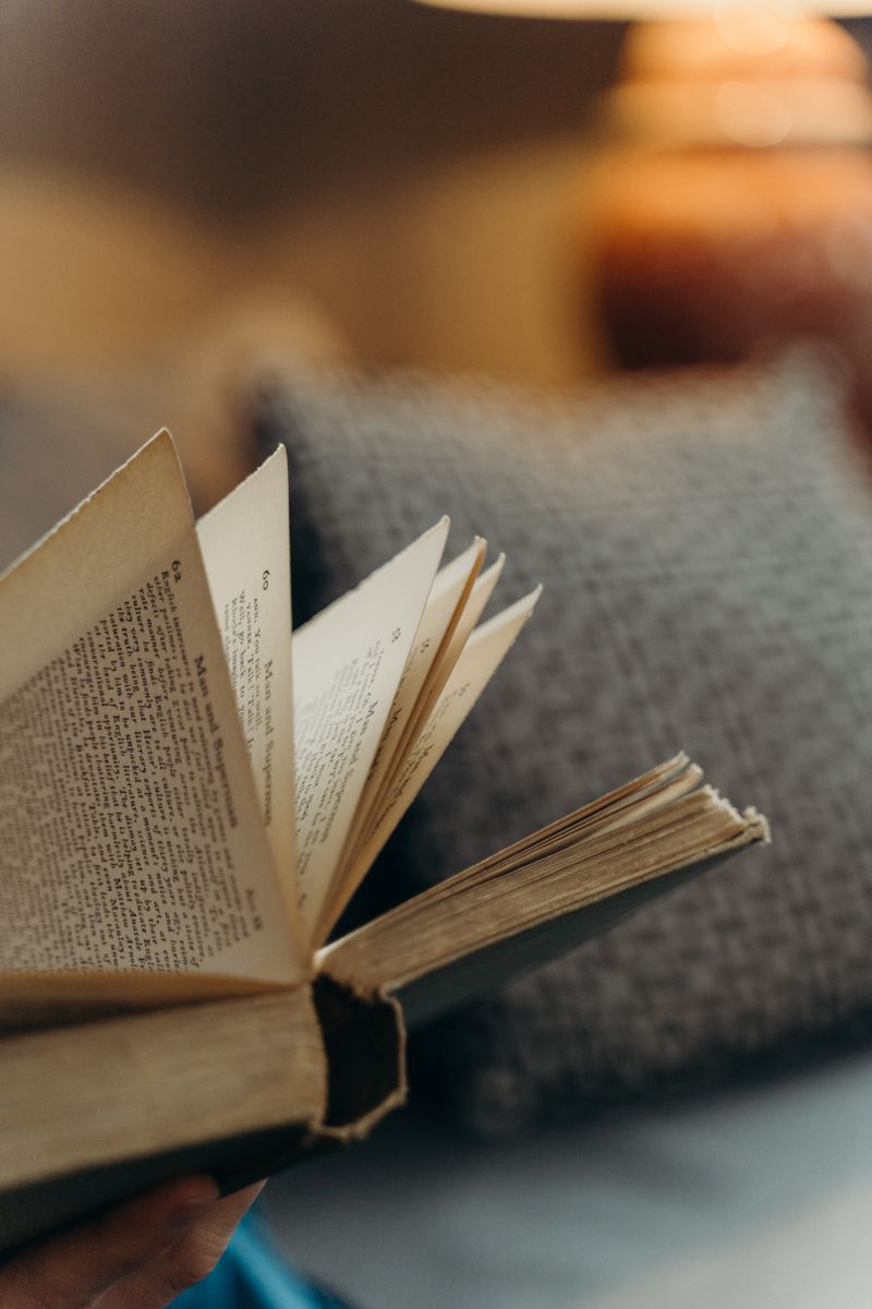Sanskrit shloka study session