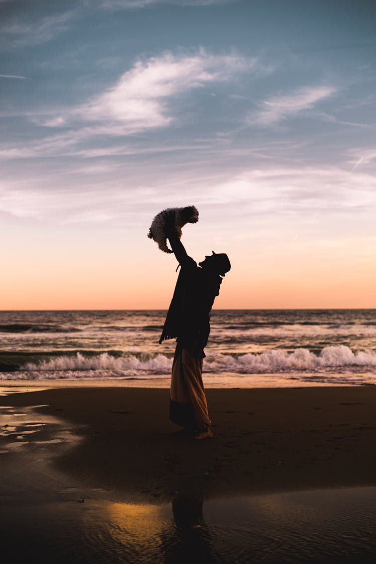 A Man Lifting His Dog Up In The Air At The Beach