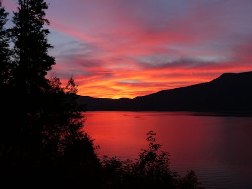 gratis Silhouet Van Bomen En Bergen Tijdens Rode Zonsondergang Stockfoto