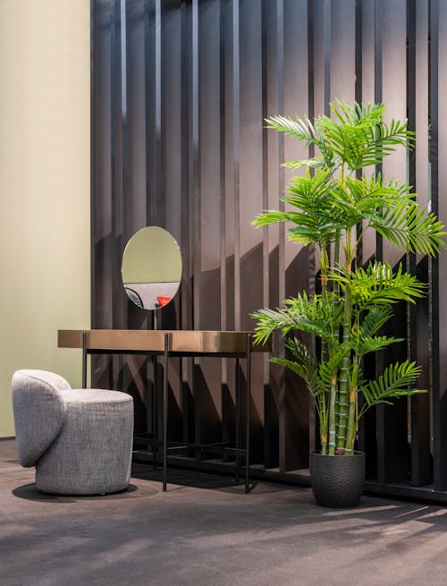 Interior of stylish room with potted palm placed near table with mirror and padded stool