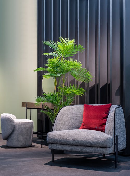 Potted plant near sofa and dressing table with pouf