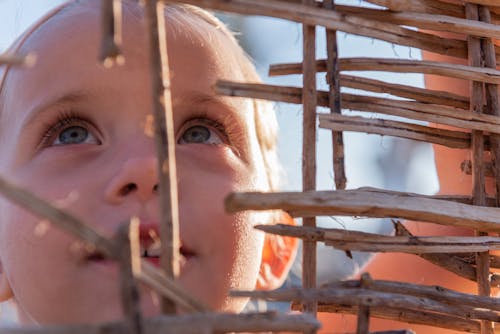 Crop cute kid face through shabby wooden wall