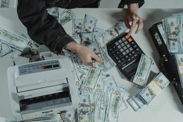 You Flip & Profit