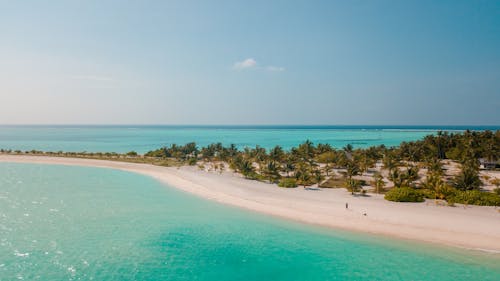 Praia Verde E Marrom Sob O Céu Azul