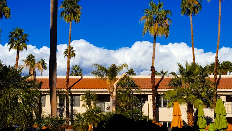 Vibrant scene with palm trees and clouds in Cathedral City, California.