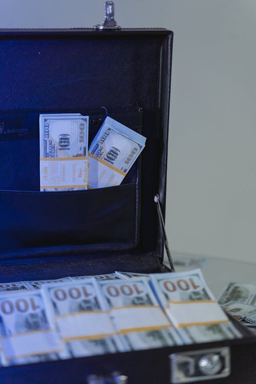Free Bank Notes on Briefcase  Stock Photo