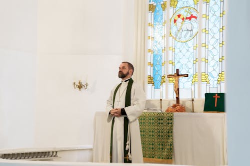 Foto d'estoc gratuïta de altar, barbut, buscant