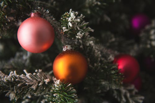 Christmas Baubles on Green Christmas Tree