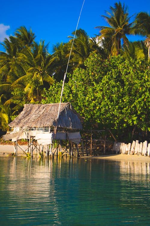 Free Hut on Stilts in Water in a Tropical Place  Stock Photo