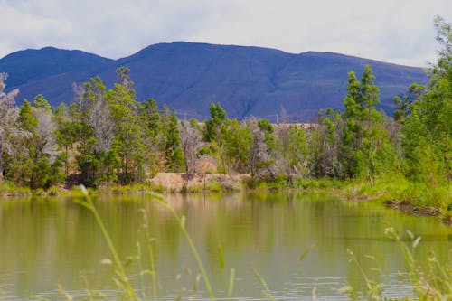 dağ, göl, güzel manzara içeren Ücretsiz stok fotoğraf