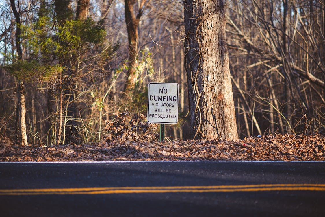 Free Photo of a Road Sign near Woodland Stock Photo