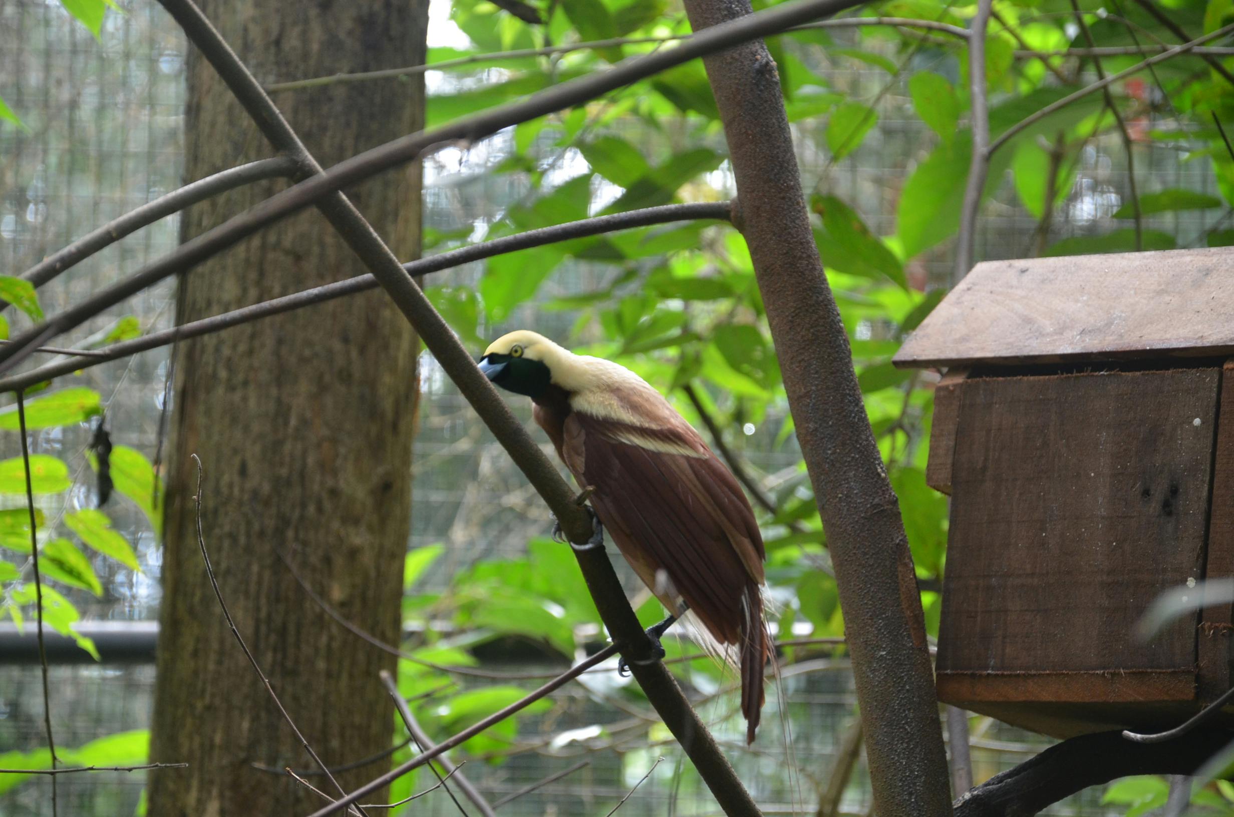 Free stock photo from Aridz · Pexels - 500 x 331 jpeg 30kB