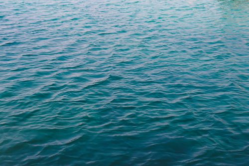 Free Calm ocean surface with gentle ripples and vibrant blue hues, perfect for backgrounds. Stock Photo