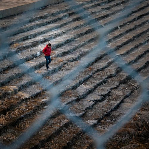 Free stock photo of fence, jail, man