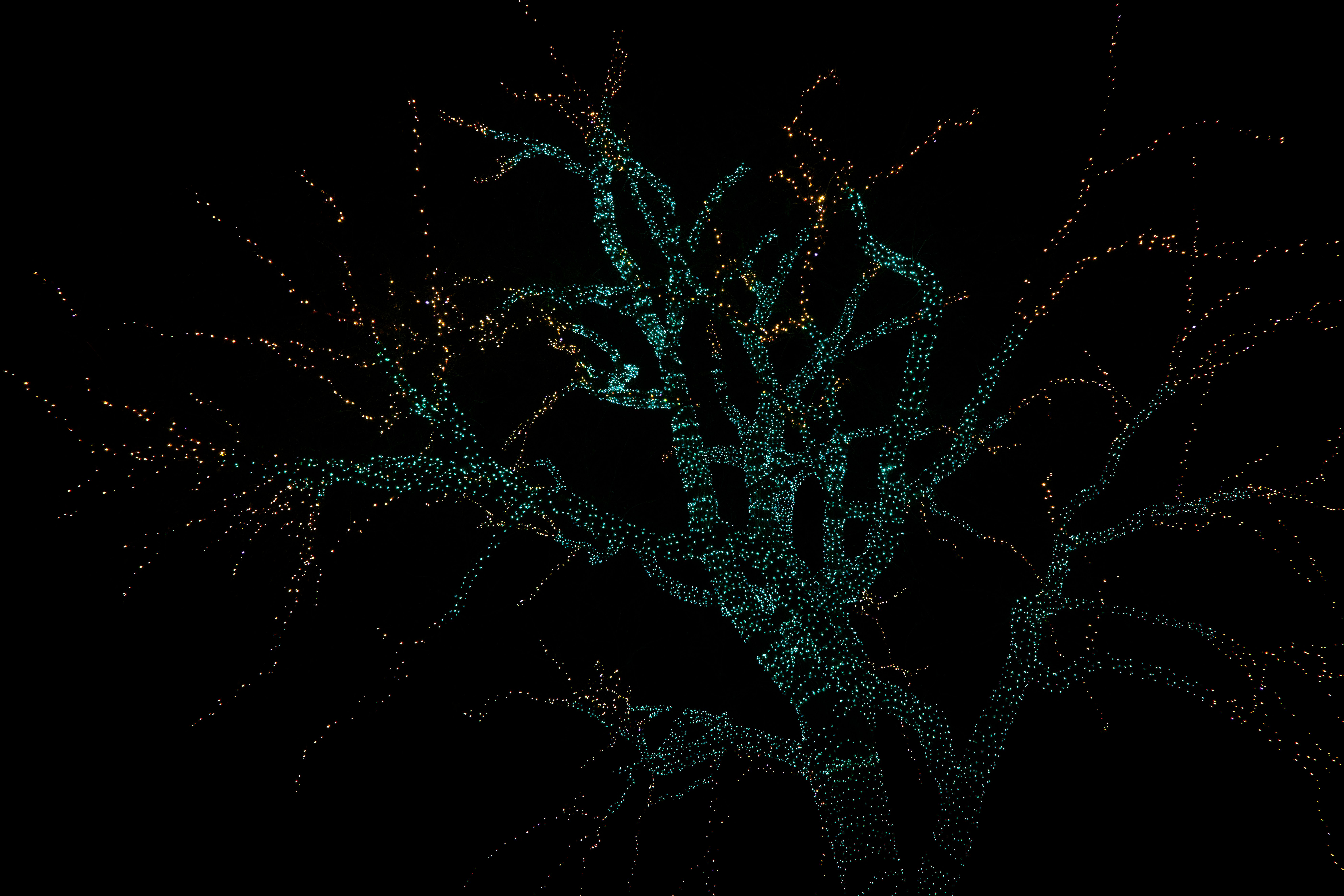 Markmap