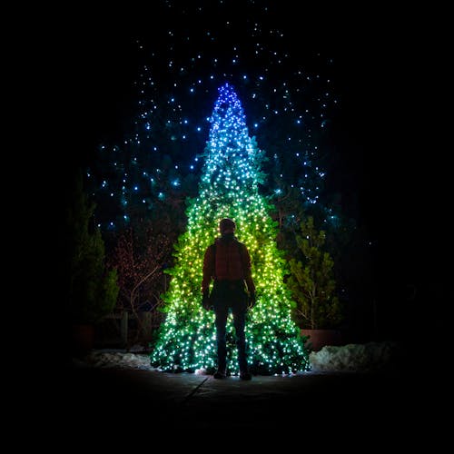 Free stock photo of christmas lights, christmas tree, holidays