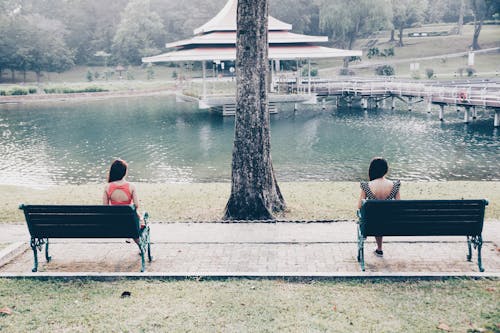 Free stock photo of balanced, bench, distance