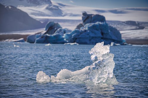 Gratis lagerfoto af Antarktis, forkølelse, frossen