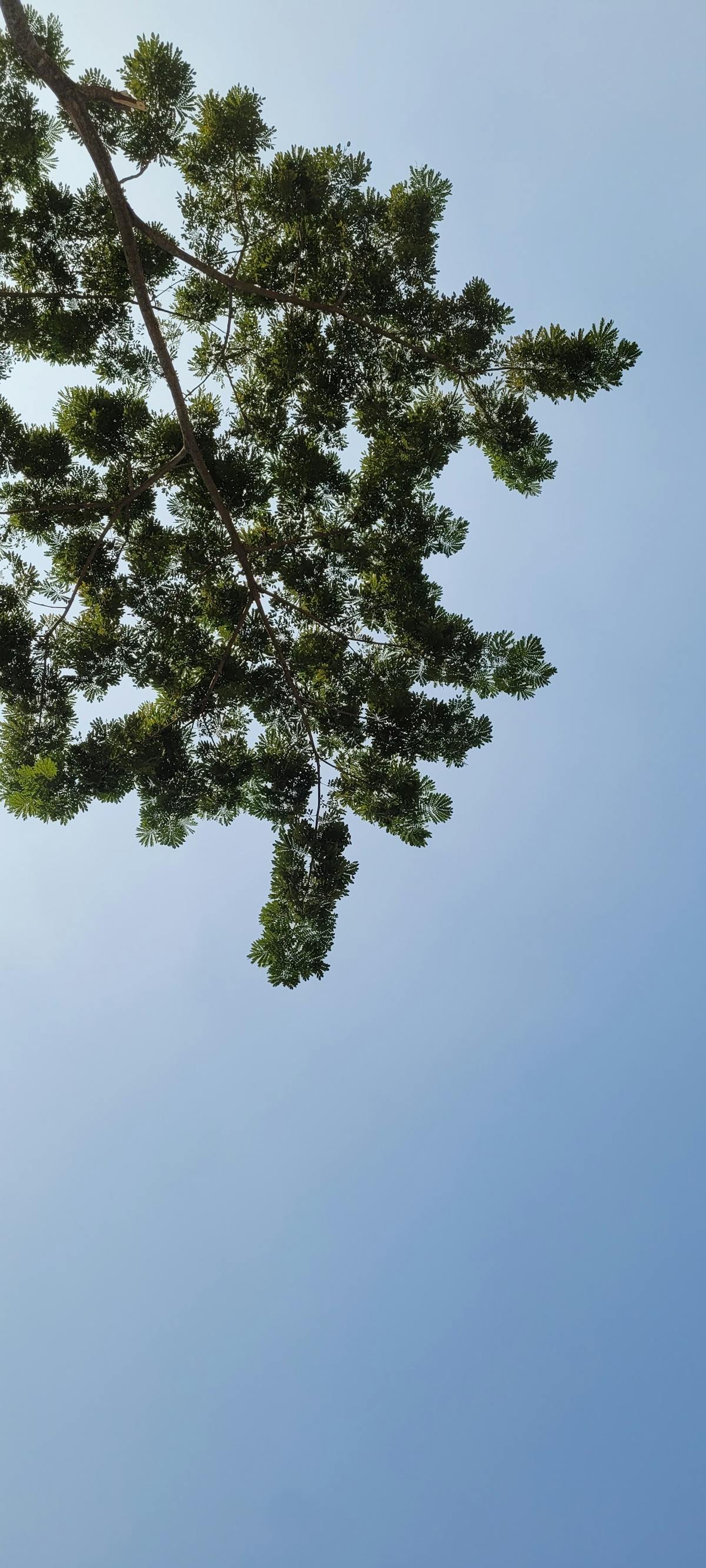 Two women laughing and walking together on a city street at sunset