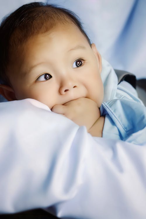 Adorable little Asian baby boy wearing casual clothes lying on belly on white blanket with fist in mouth and looking away