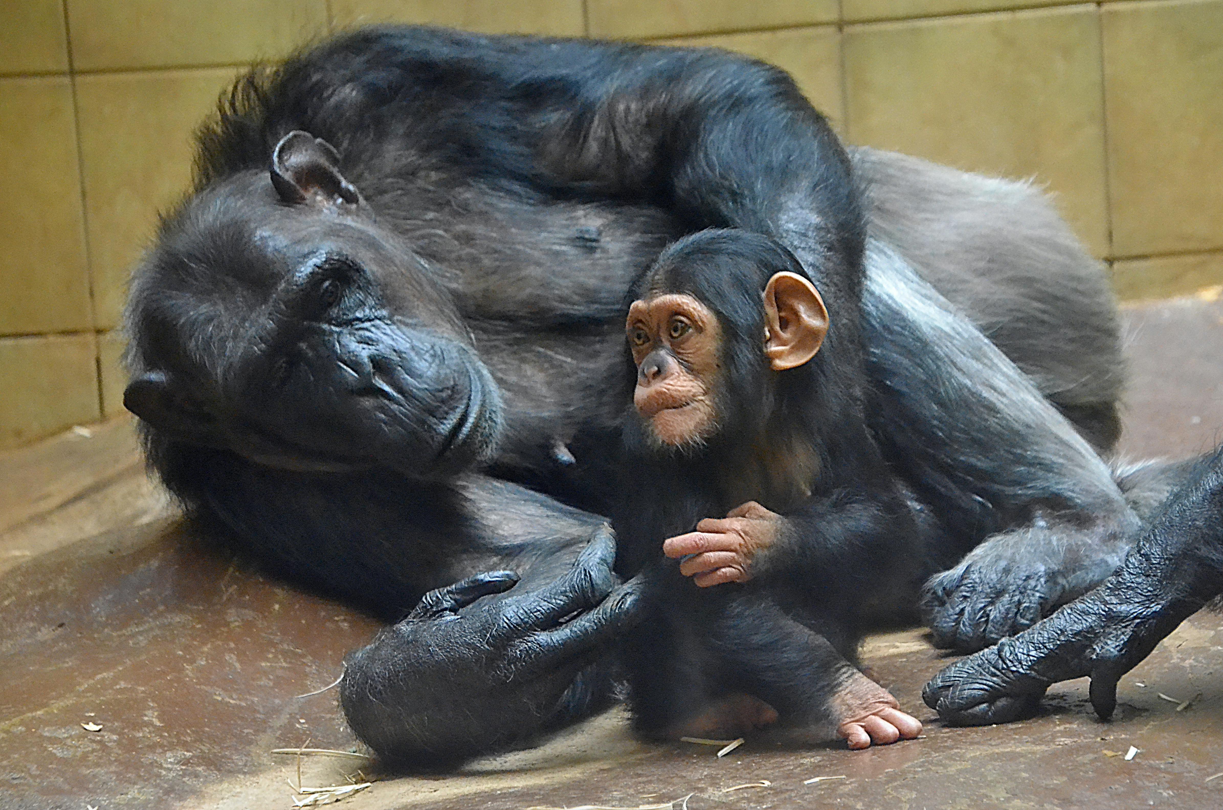 Medicines at a pharmacy