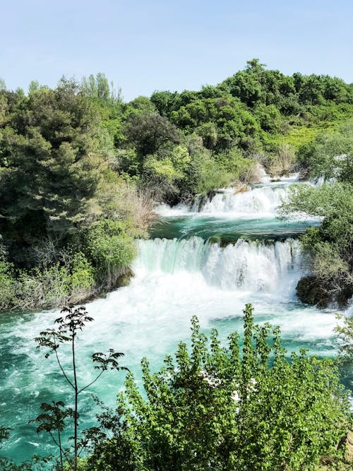 Foto d'estoc gratuïta de cascades, natura, riu