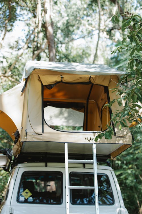 Low angle of camping tent placed on off road car top parked near lush green trees on sunny day in forest