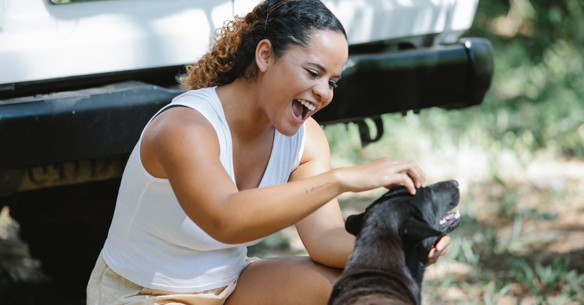 Excited young Hispanic female hiker with curly hair in casual clothes sitting on haunches and yelling while petting adorable mongrel dog during trip in forest on sunny day