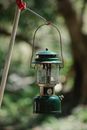 Retro paraffin lamp hanging in forest in sunlight