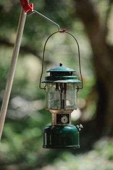 Retro paraffin lamp hanging in forest in sunlight