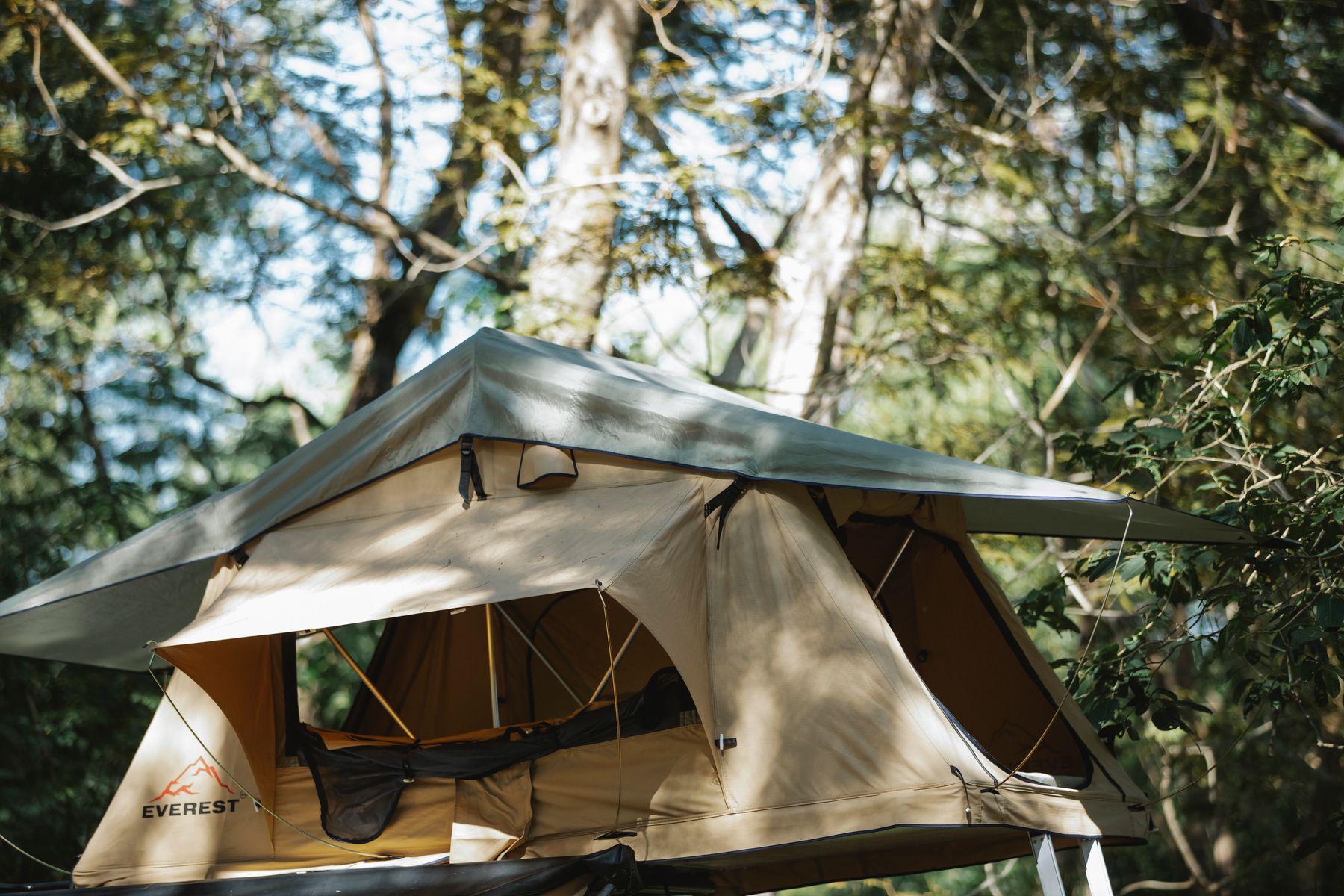 Camping tent set up among trees in a natural forest campsite