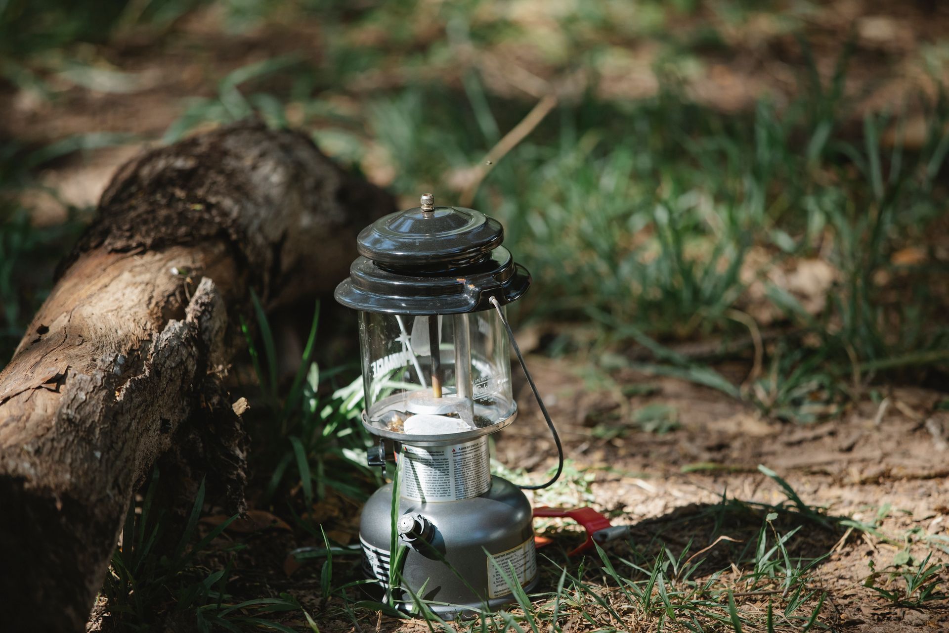 A vintage metal lantern on grass beside a log in a serene forest environment.