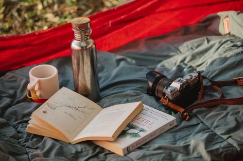 Free Composition of books and photo camera placed near thermos bottle and cup on camp tent in nature Stock Photo