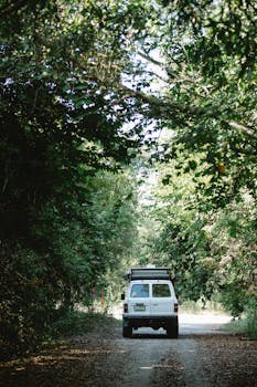 A white van travels through a picturesque forest road, capturing the essence of adventure and tranquility.