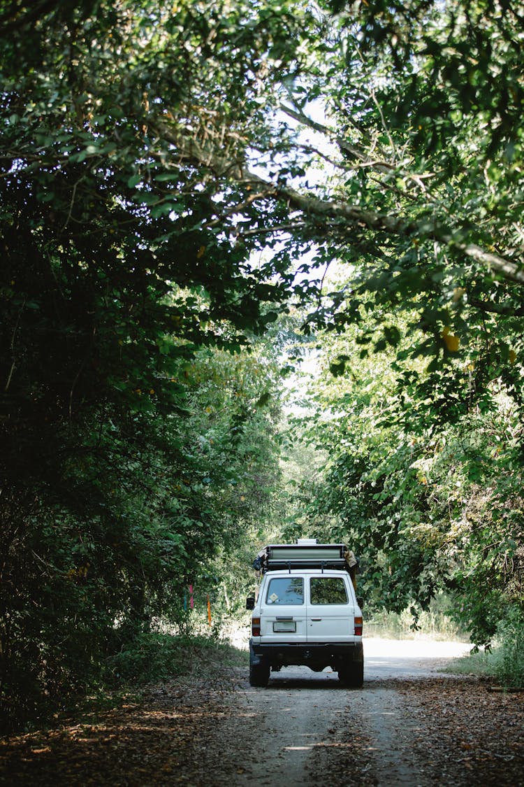 Car Driving On Road Among Green Trees In Countryside